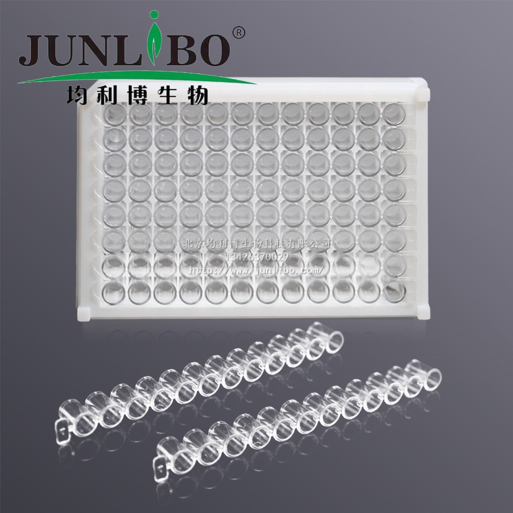 微孔滤膜 φ30mm 0.2um 尼龙6(国产有机系)