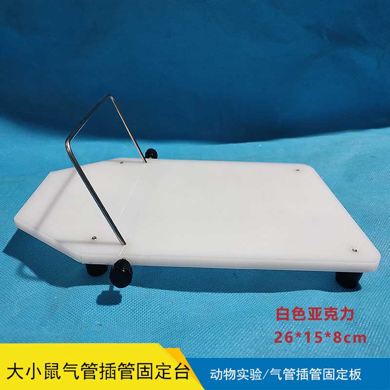 大小鼠气管插管固定台【白色亚克力】