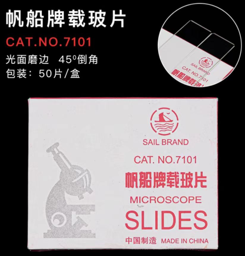 帆船 7101光面载玻片25.4*76.2mm mm厚度 1-1.2