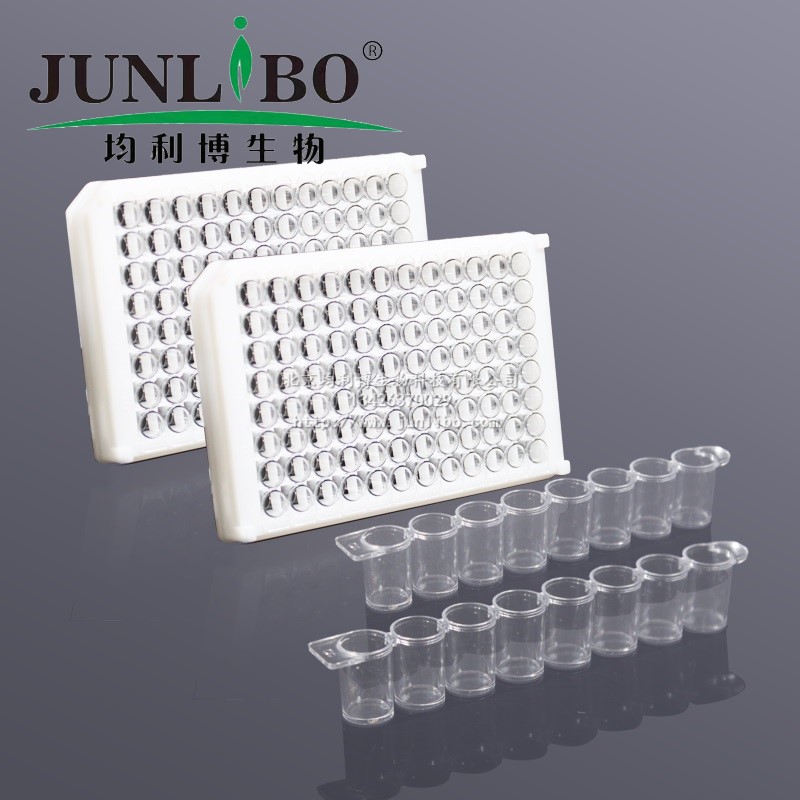 微孔滤膜 φ30mm 0.45um 尼龙6(国产有机系)