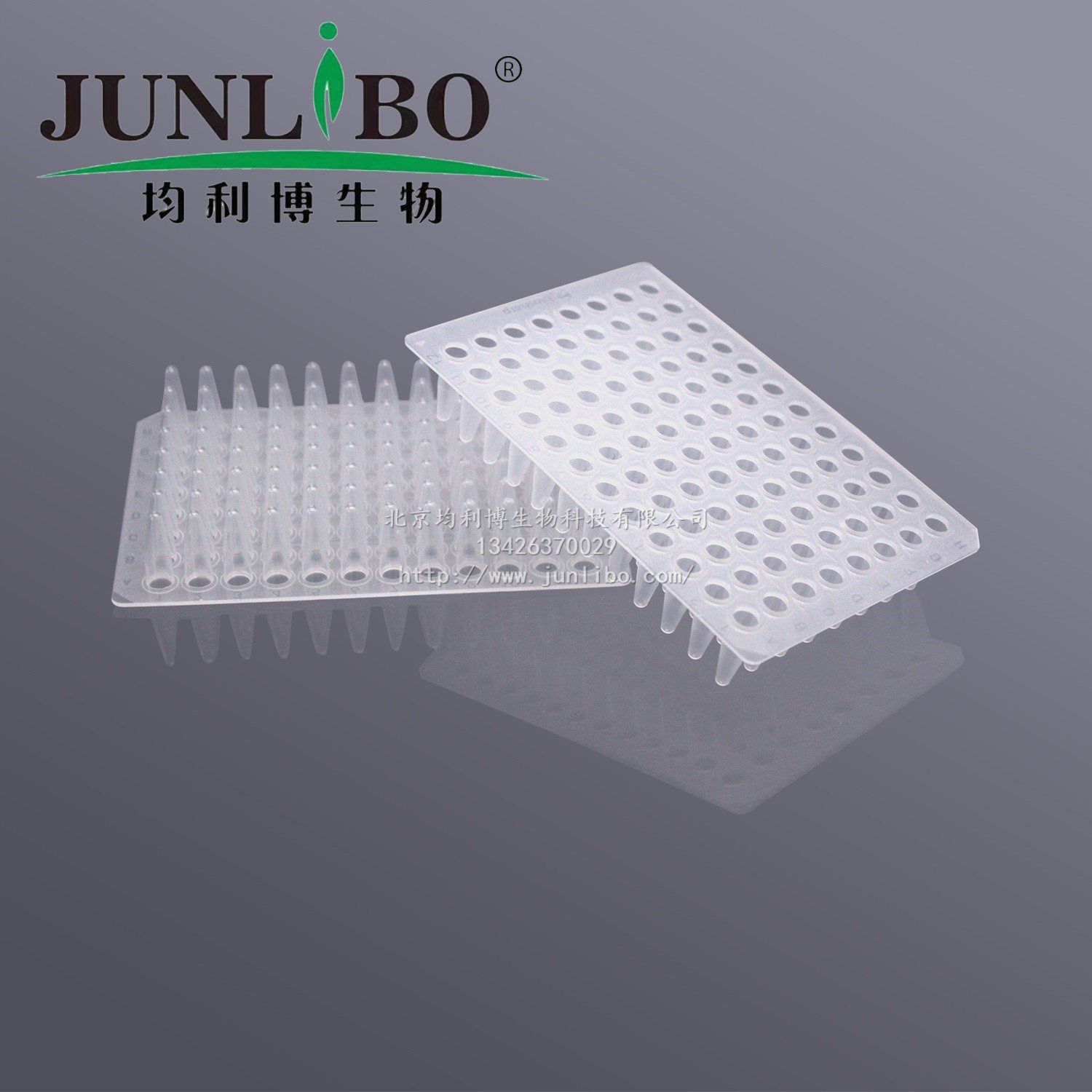 微孔滤膜 φ15mm 0.45um 尼龙6(国产有机系)