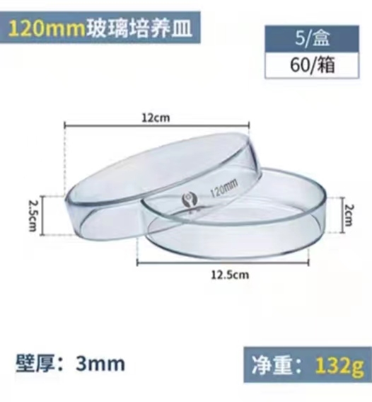 环球 耐高温玻璃培养皿直径：120mm（整盒价格）