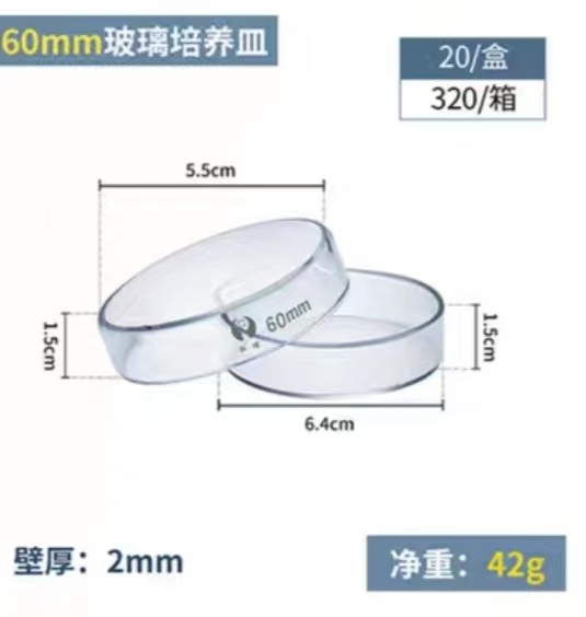 环球 耐高温玻璃培养皿直径：60mm（整盒价格）