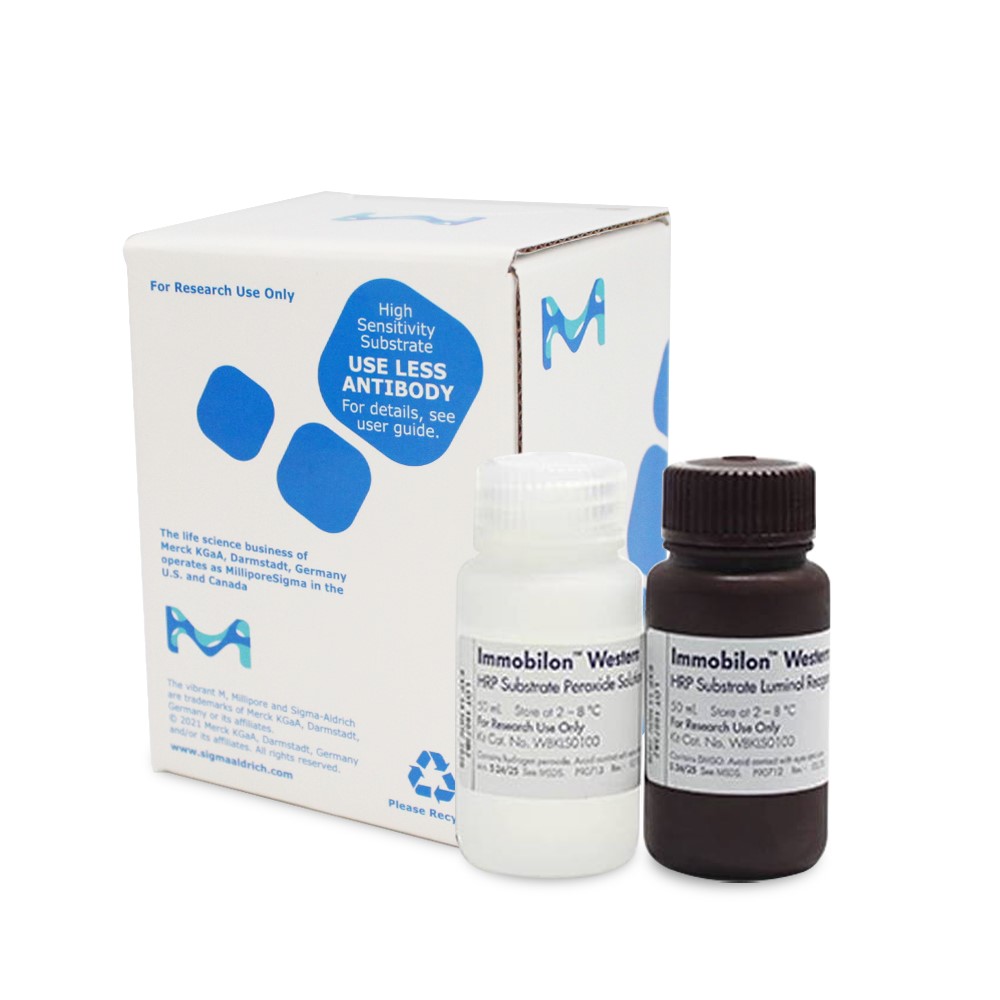 WBKLS0100 底物显色试剂  100ml