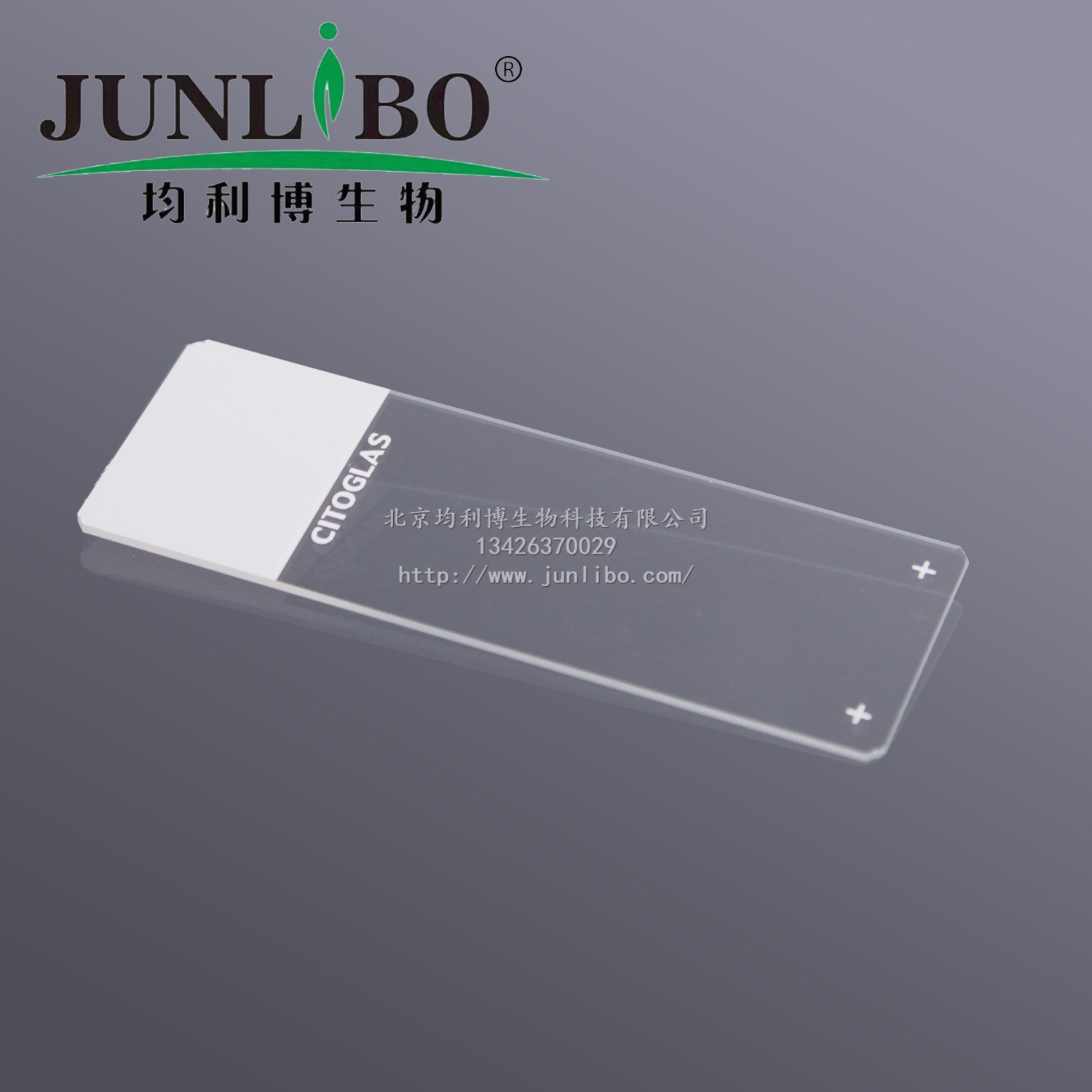 微孔滤膜 φ50mm 0.8um (进口水系)聚醚砜PES