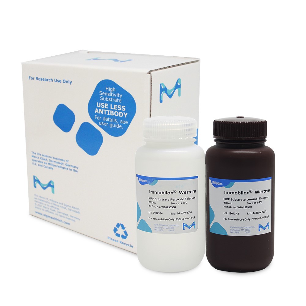 WBKLS0500 底物显色试剂  500ml